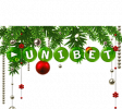 Celebre o natal com bônus do cassino online Unibet Brasil para jogo de pôquer
